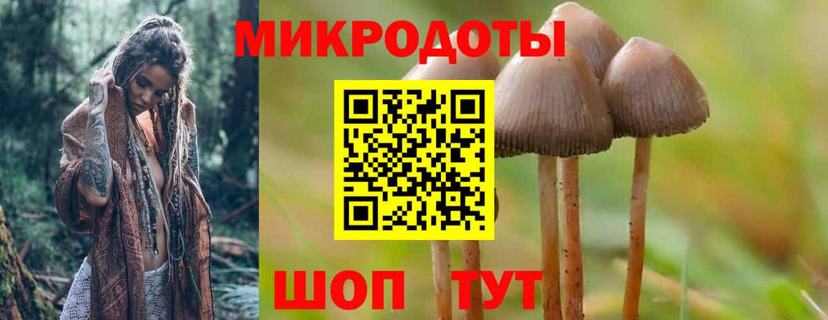 Галлюциногенные грибы мухоморы Краснокамск